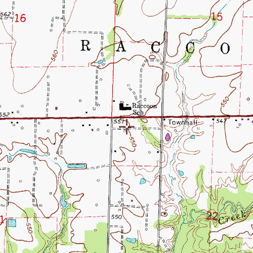 Topographic Map of Township of Raccoon, IL