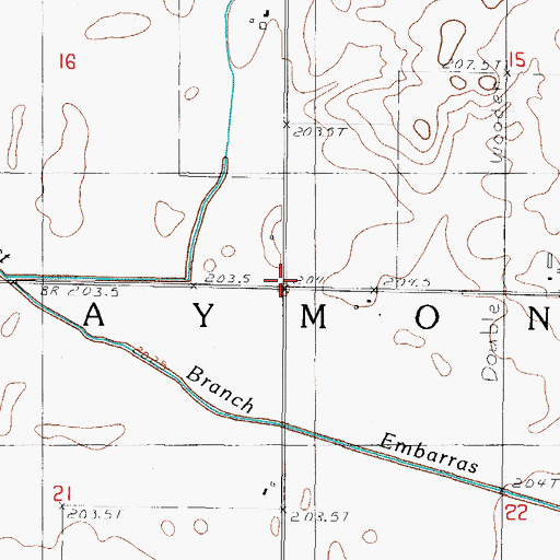 Topographic Map of Township of Raymond, IL