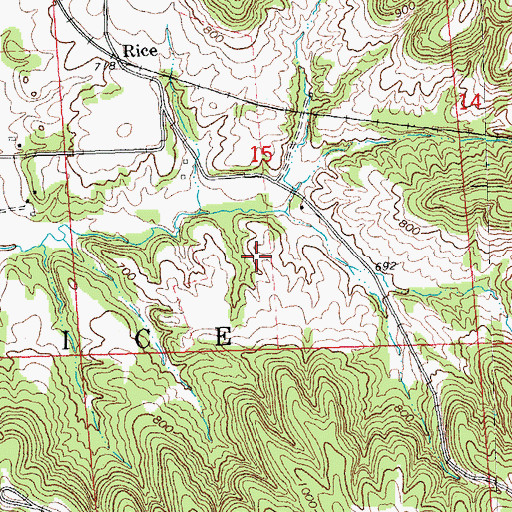 Topographic Map of Township of Rice, IL