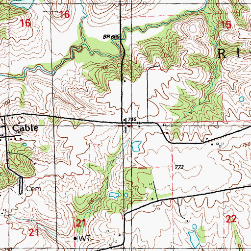 Topographic Map of Township of Richland Grove, IL
