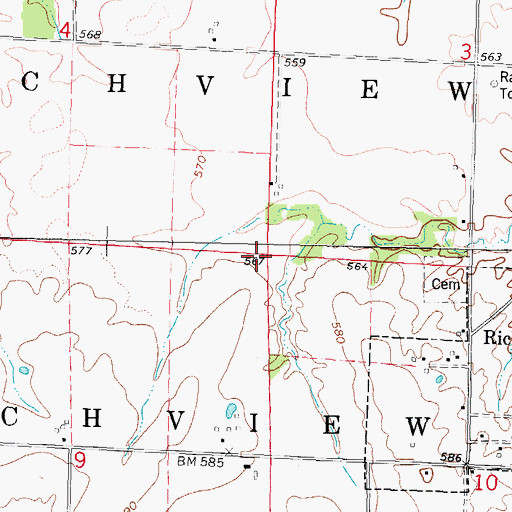 Topographic Map of Township of Richview, IL