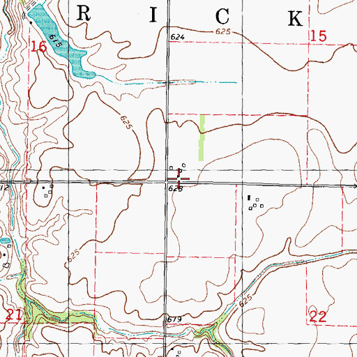 Topographic Map of Township of Ricks, IL