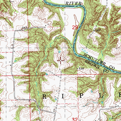 Topographic Map of Township of Ripley, IL