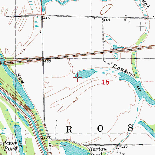 Topographic Map of Township of Ross, IL