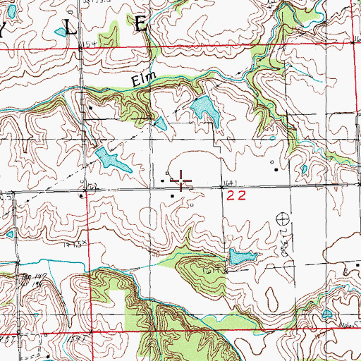 Topographic Map of Township of Ruyle, IL