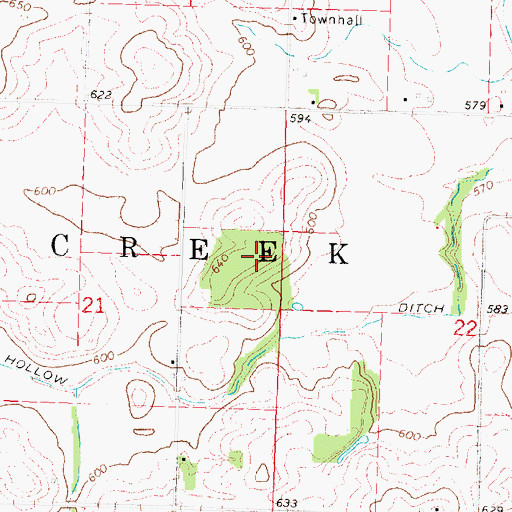 Topographic Map of Township of Salt Creek, IL