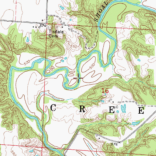 Topographic Map of Township of Shoal Creek, IL
