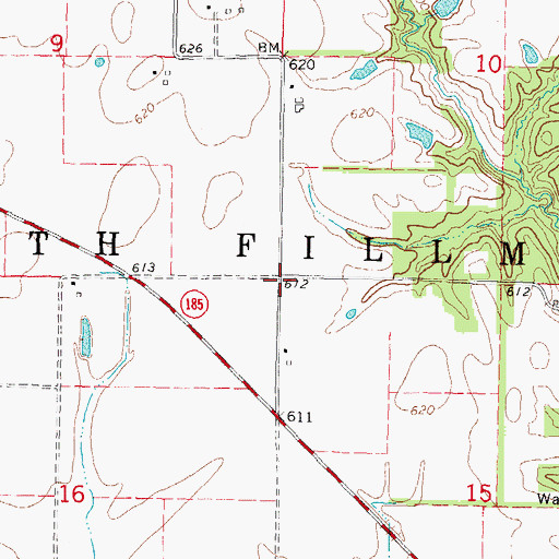 Topographic Map of Township of South Fillmore, IL