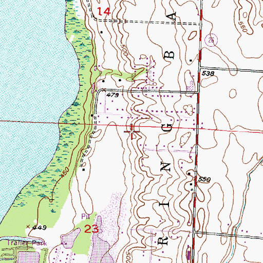 Topographic Map of Township of Spring Bay, IL