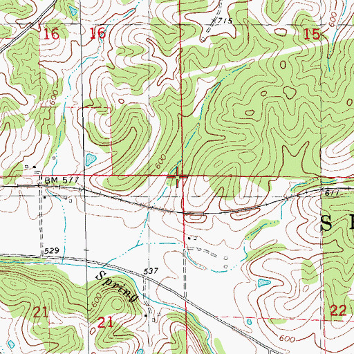 Topographic Map of Township of Spring Creek, IL