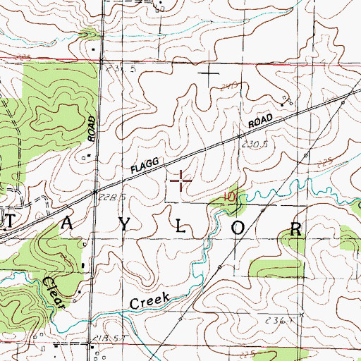 Topographic Map of Township of Taylor, IL