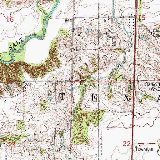 Topographic Map of Township of Texas, IL