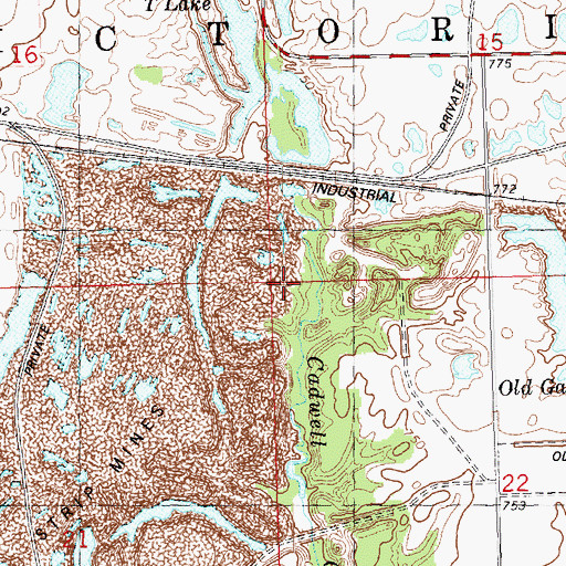 Topographic Map of Township of Victoria, IL