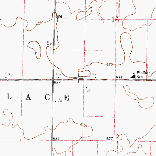 Topographic Map of Township of Wallace, IL