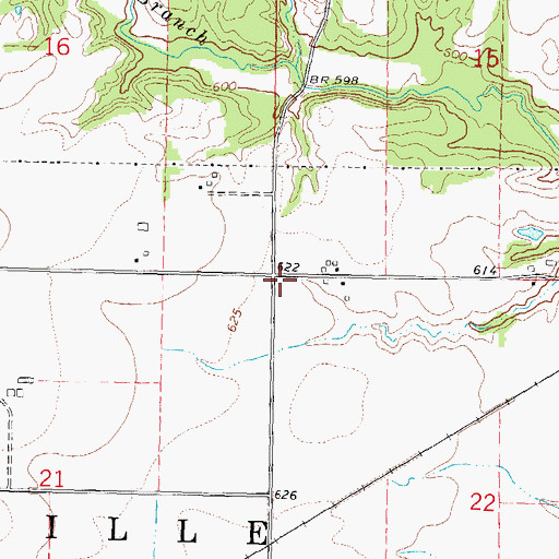 Topographic Map of Township of Walshville, IL