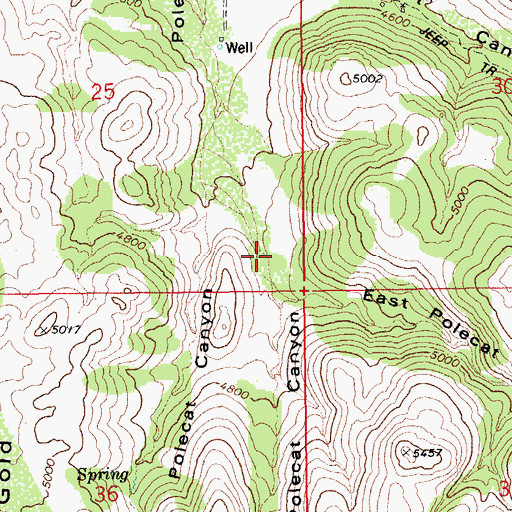 Topographic Map of East Polecat Canyon, AZ