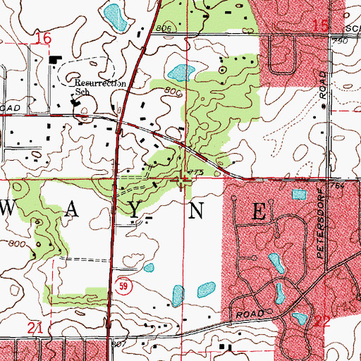 Topographic Map of Township of Wayne, IL