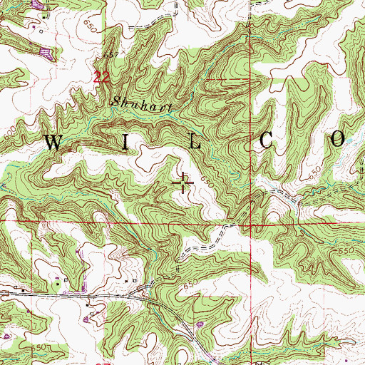 Topographic Map of Township of Wilcox, IL