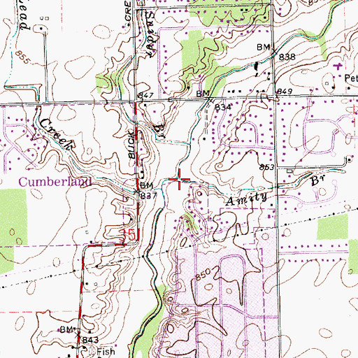 Topographic Map of Amity Branch, IN