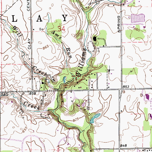 Topographic Map of Ams Run, IN