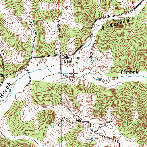 Topographic Map of Anderson Branch, IN