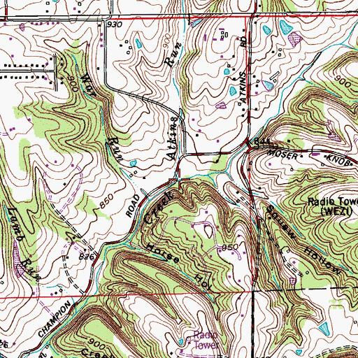 Topographic Map of Atkins Run, IN