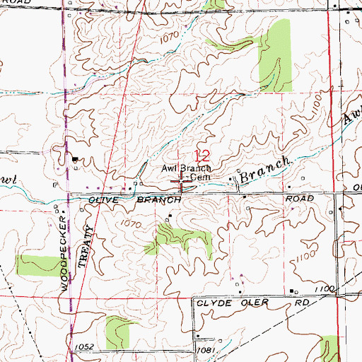 Topographic Map of Olive Branch Cemetery, IN