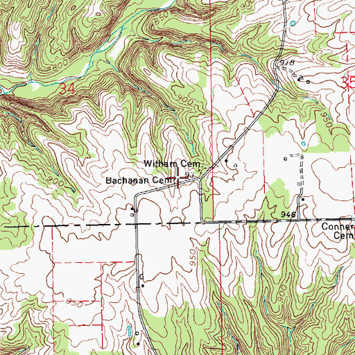 Topographic Map of Buchanan Cemetery, IN