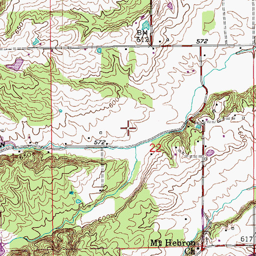 Topographic Map of Bane Hollow, IN
