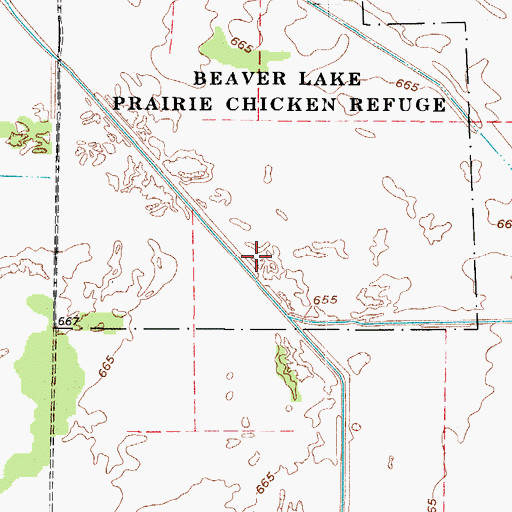 Topographic Map of Beaver Lake Ditch, IN