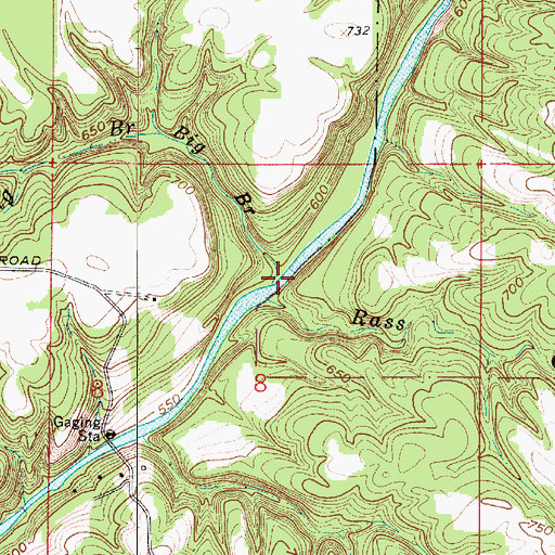 Topographic Map of Big Branch, IN