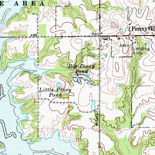 Topographic Map of Big Piney Pond, IN