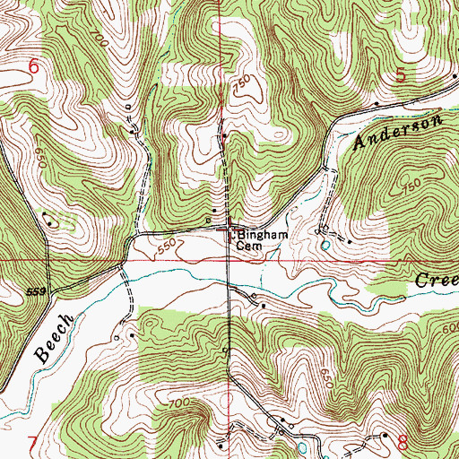 Topographic Map of Bingham Cemetery, IN