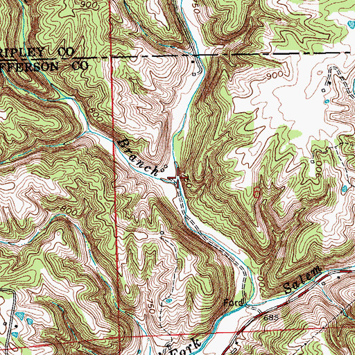 Topographic Map of Black Branch, IN