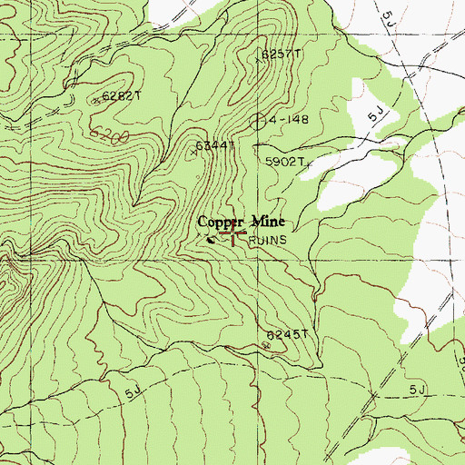 Topographic Map of Copper Mine, AZ