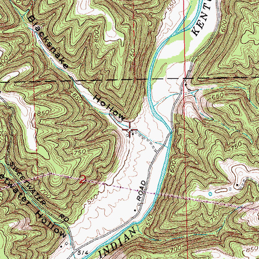 Topographic Map of Blacksnake Hollow, IN