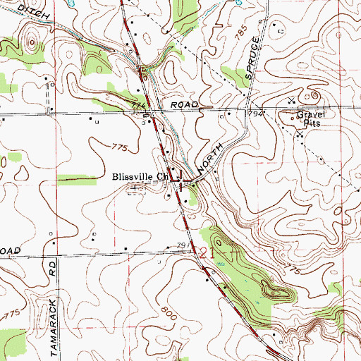 Topographic Map of Blissville Church, IN