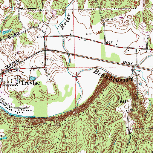 Topographic Map of Brier Creek, IN