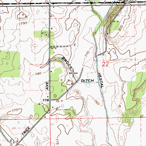 Topographic Map of Brook Ditch, IN