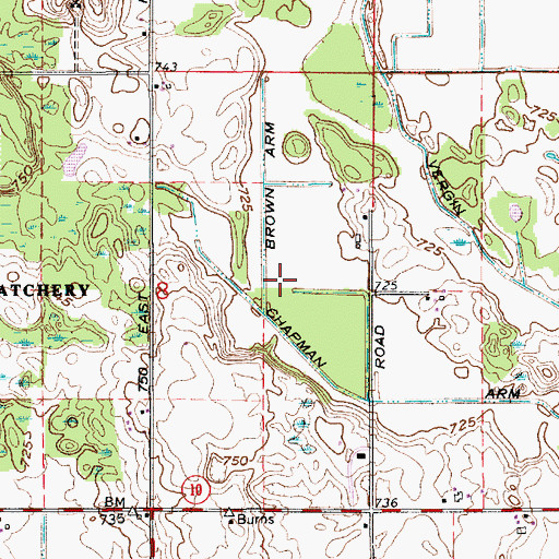Topographic Map of Brown Arm, IN