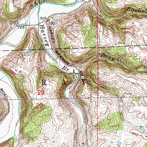 Topographic Map of Brown Branch, IN