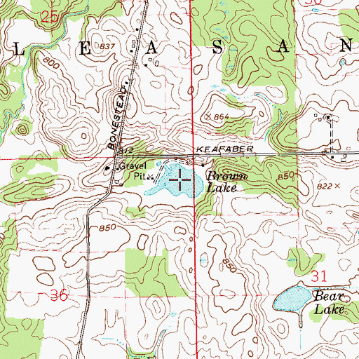 Topographic Map of Brown Lake, IN