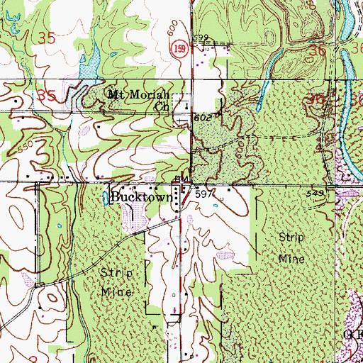 Topographic Map of Bucktown, IN