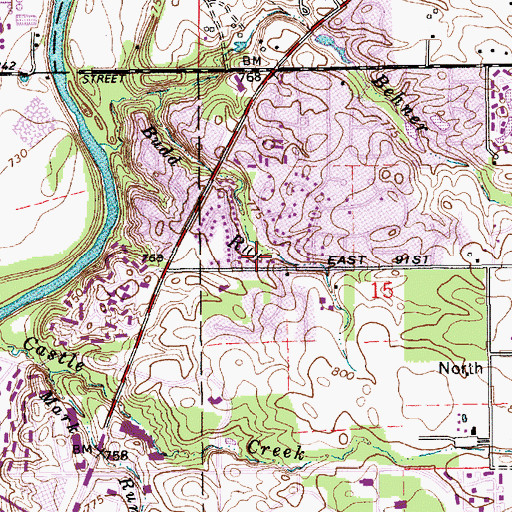 Topographic Map of Budd Run, IN