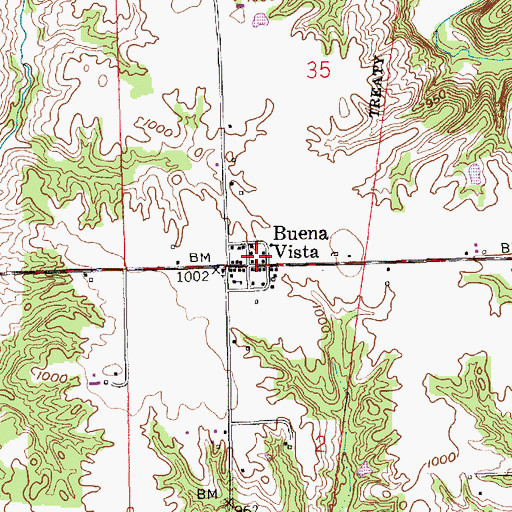 Topographic Map of Buena Vista, IN