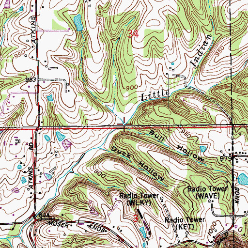 Topographic Map of Bull Hollow, IN