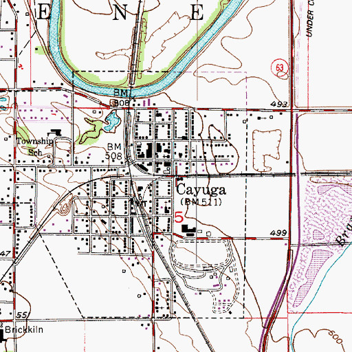Topographic Map of Cayuga, IN