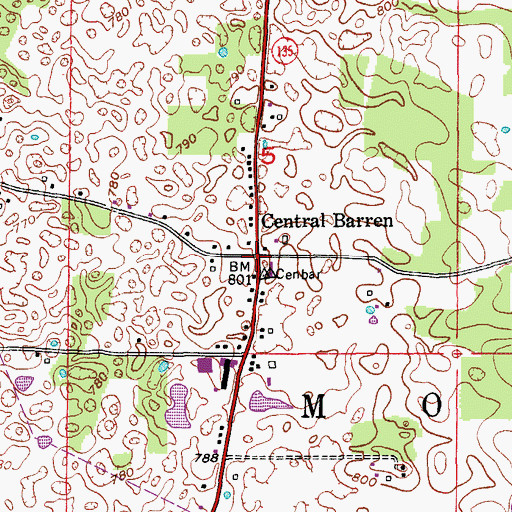 Topographic Map of Central Barren, IN