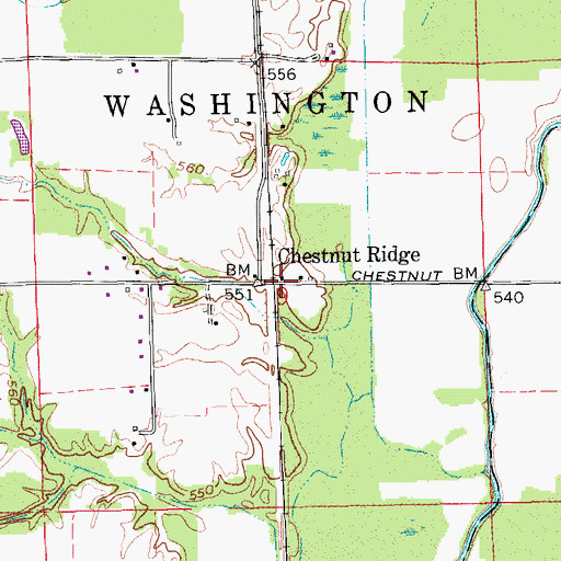 Topographic Map of Chestnut Ridge, IN