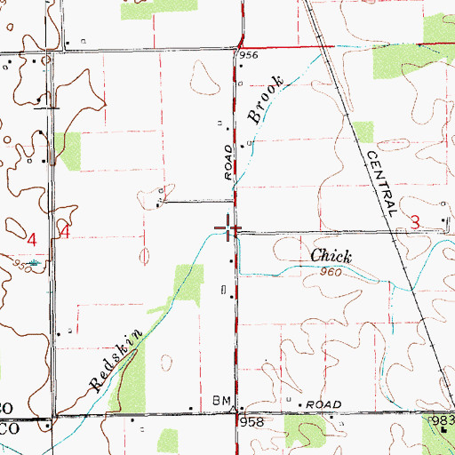 Topographic Map of Chick Run, IN